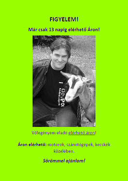 Verhetetlen Áron